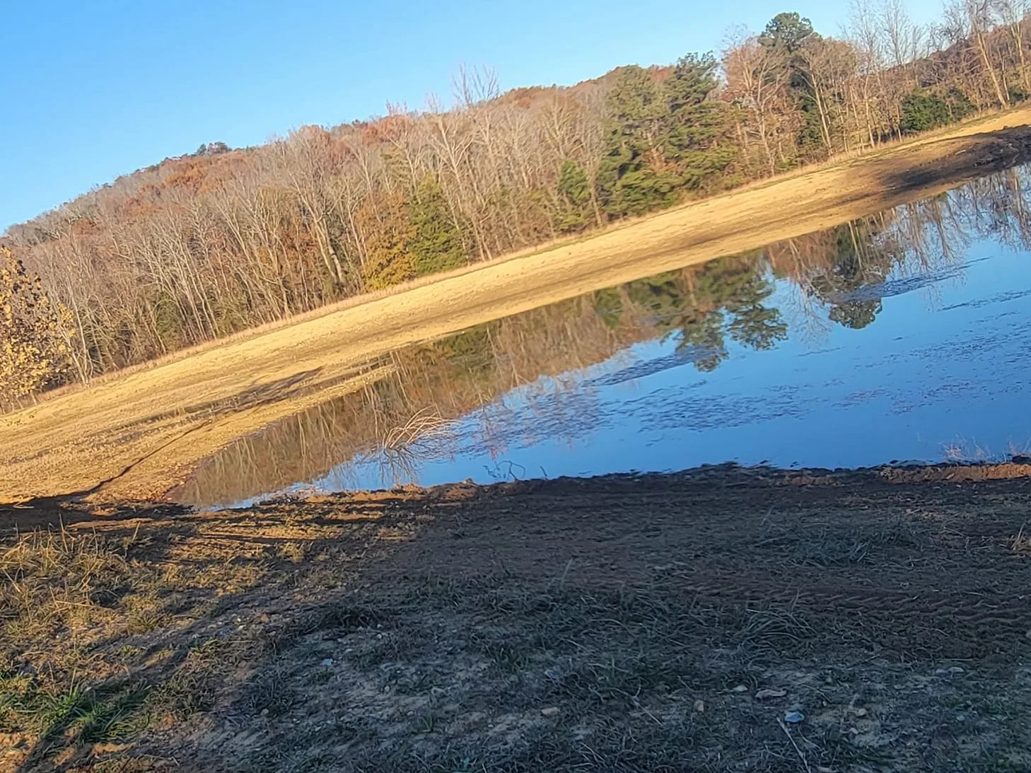 Lake bank cleared, dressed and seeded